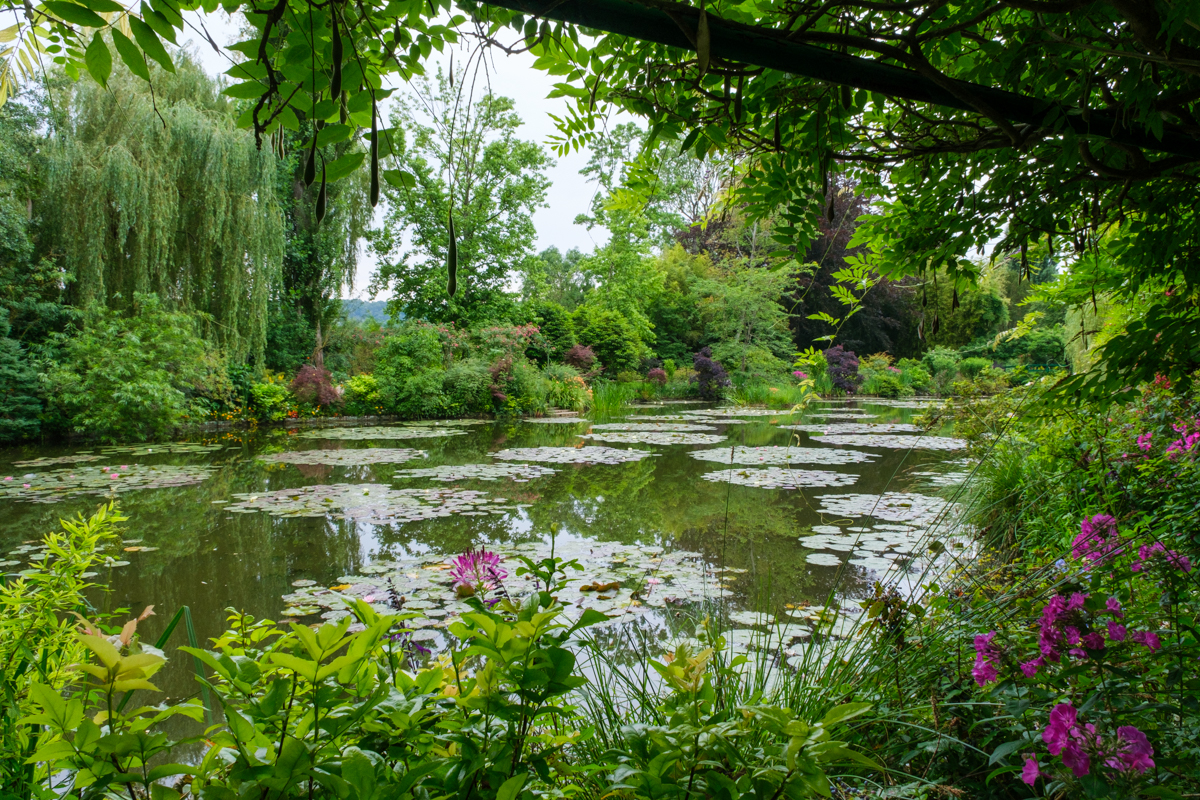 water lily pond giverny
