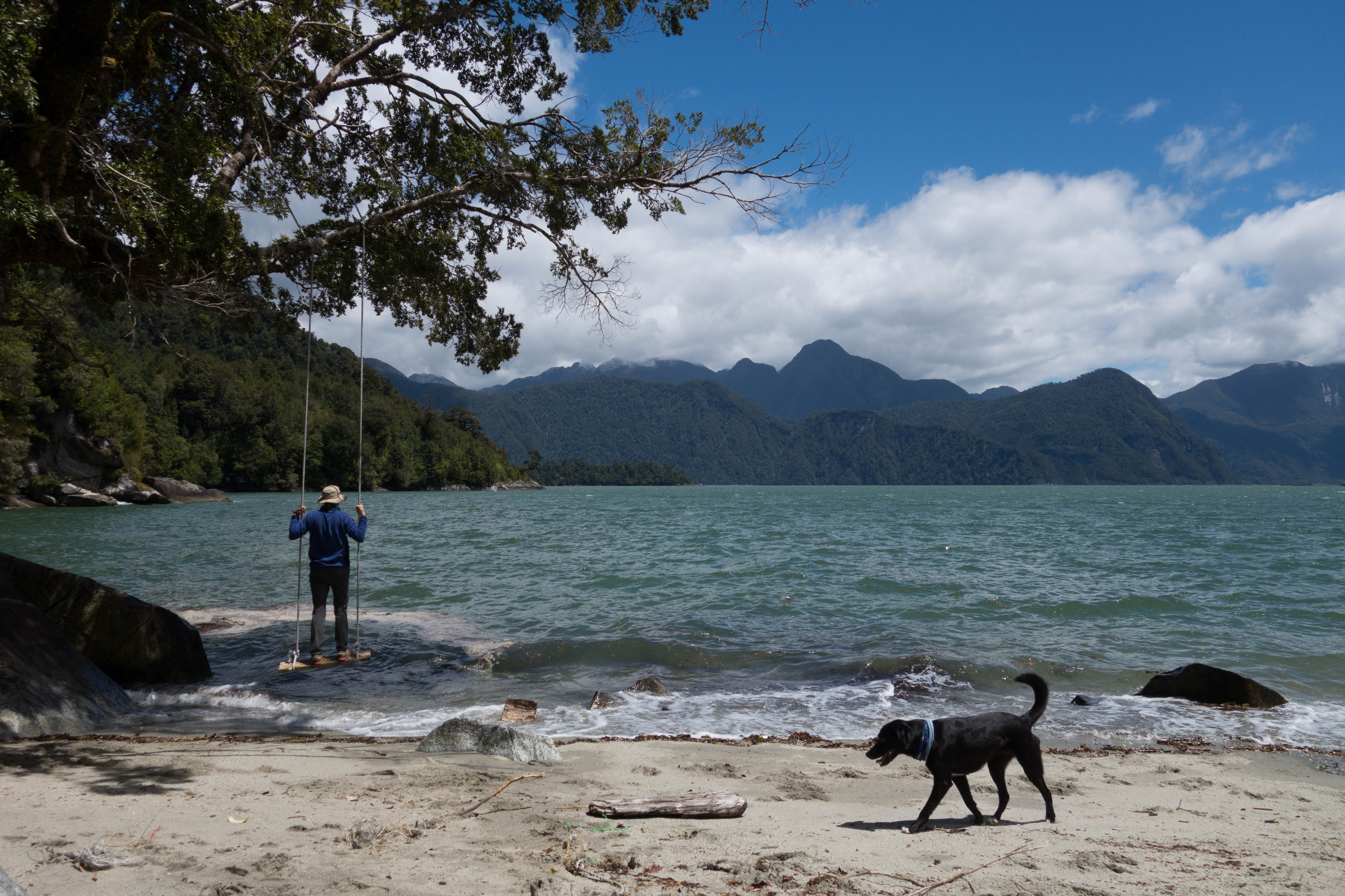 pumalin national park