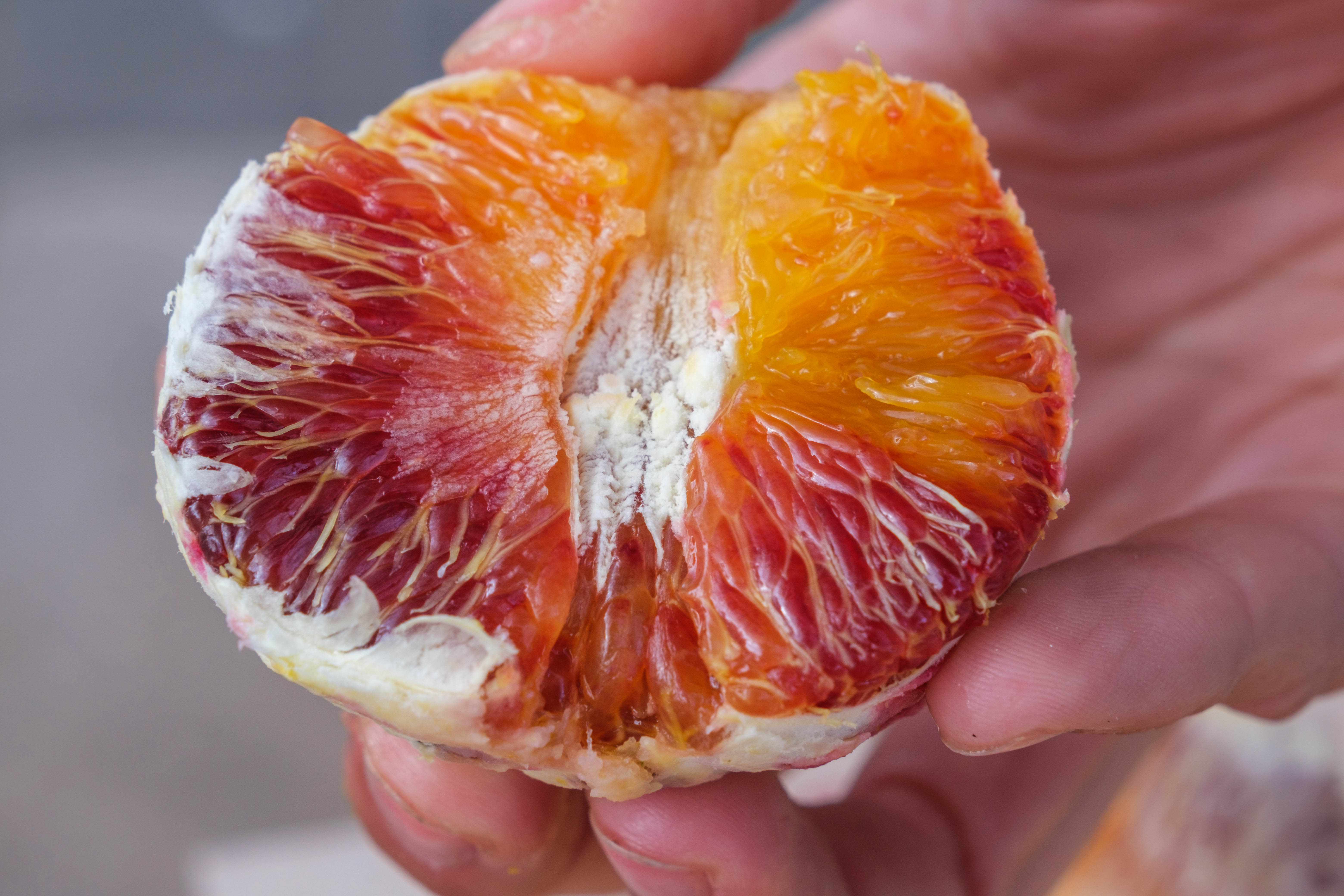 sicilian blood orange