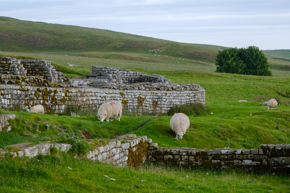 housesteads fort
