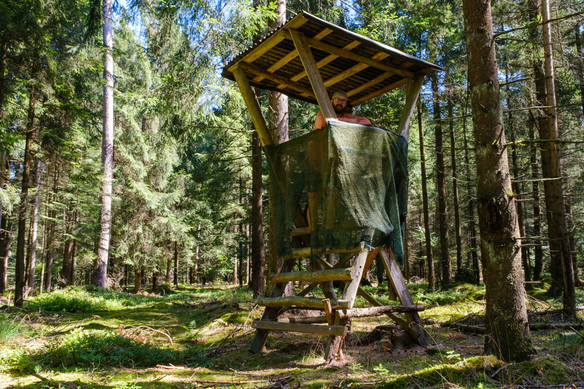 wild camping germany