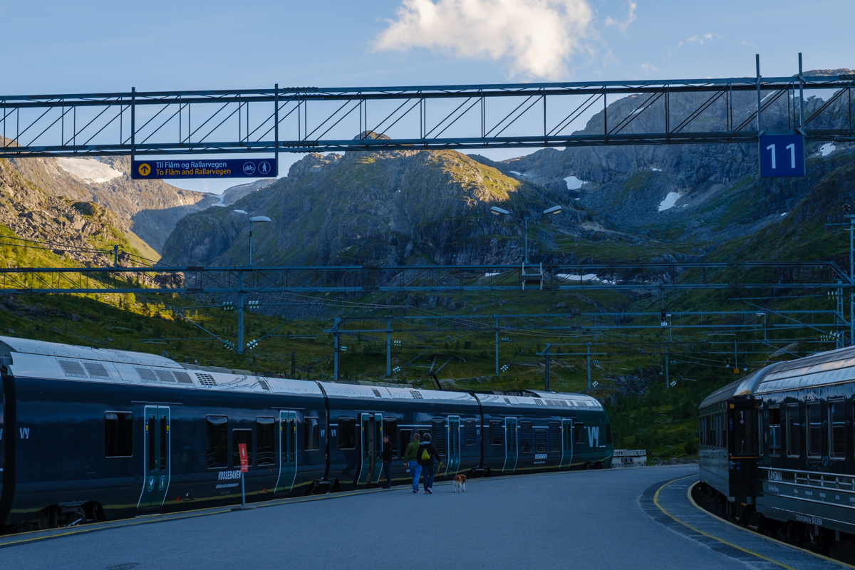 myrdal train station