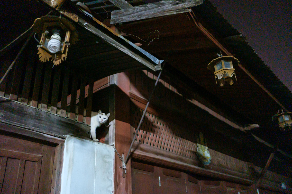teak houses in tak thailand